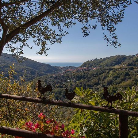 Pietrantica - Affittacamere Con Giardino Nuova Apertura A Trebiano -Citr 外观 照片