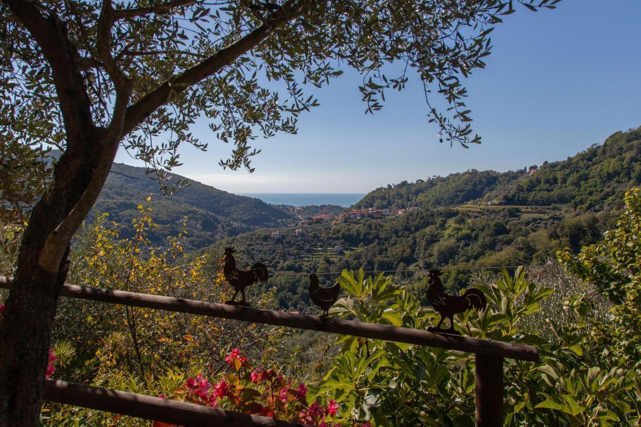 Pietrantica - Affittacamere Con Giardino Nuova Apertura A Trebiano -Citr 外观 照片