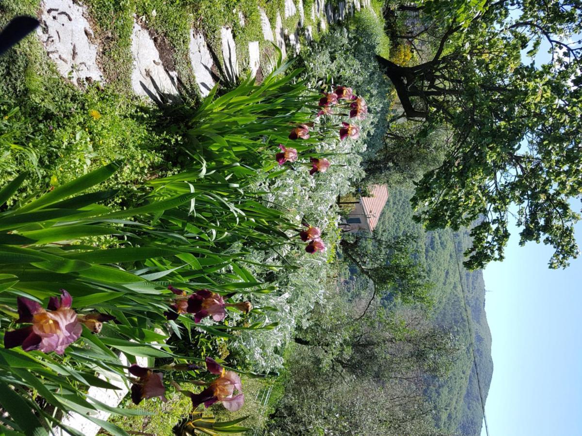 Pietrantica - Affittacamere Con Giardino Nuova Apertura A Trebiano -Citr 外观 照片