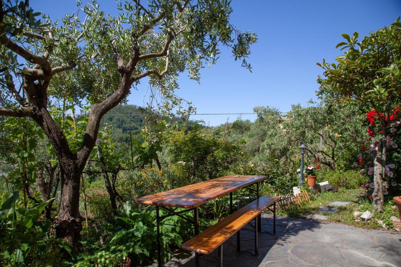 Pietrantica - Affittacamere Con Giardino Nuova Apertura A Trebiano -Citr 外观 照片