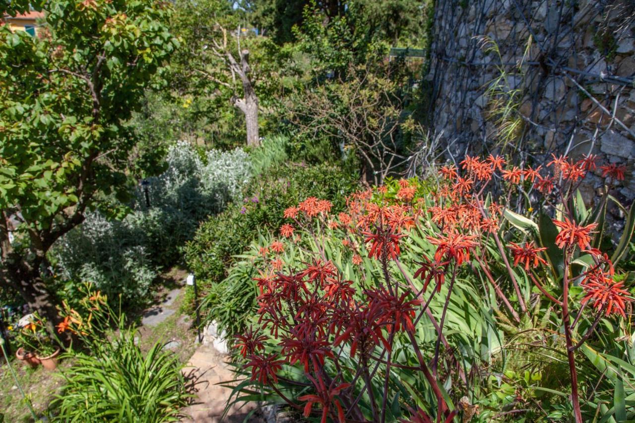 Pietrantica - Affittacamere Con Giardino Nuova Apertura A Trebiano -Citr 外观 照片