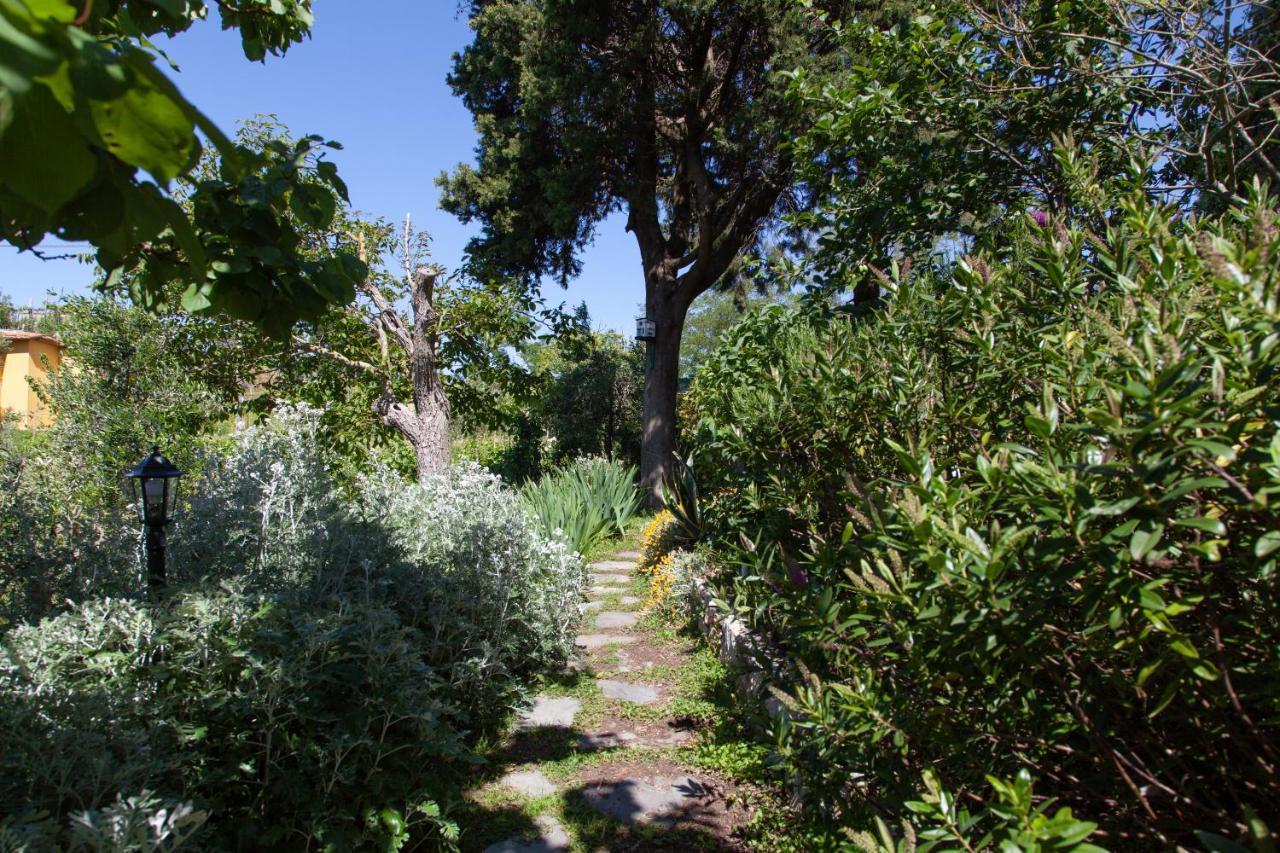 Pietrantica - Affittacamere Con Giardino Nuova Apertura A Trebiano -Citr 外观 照片