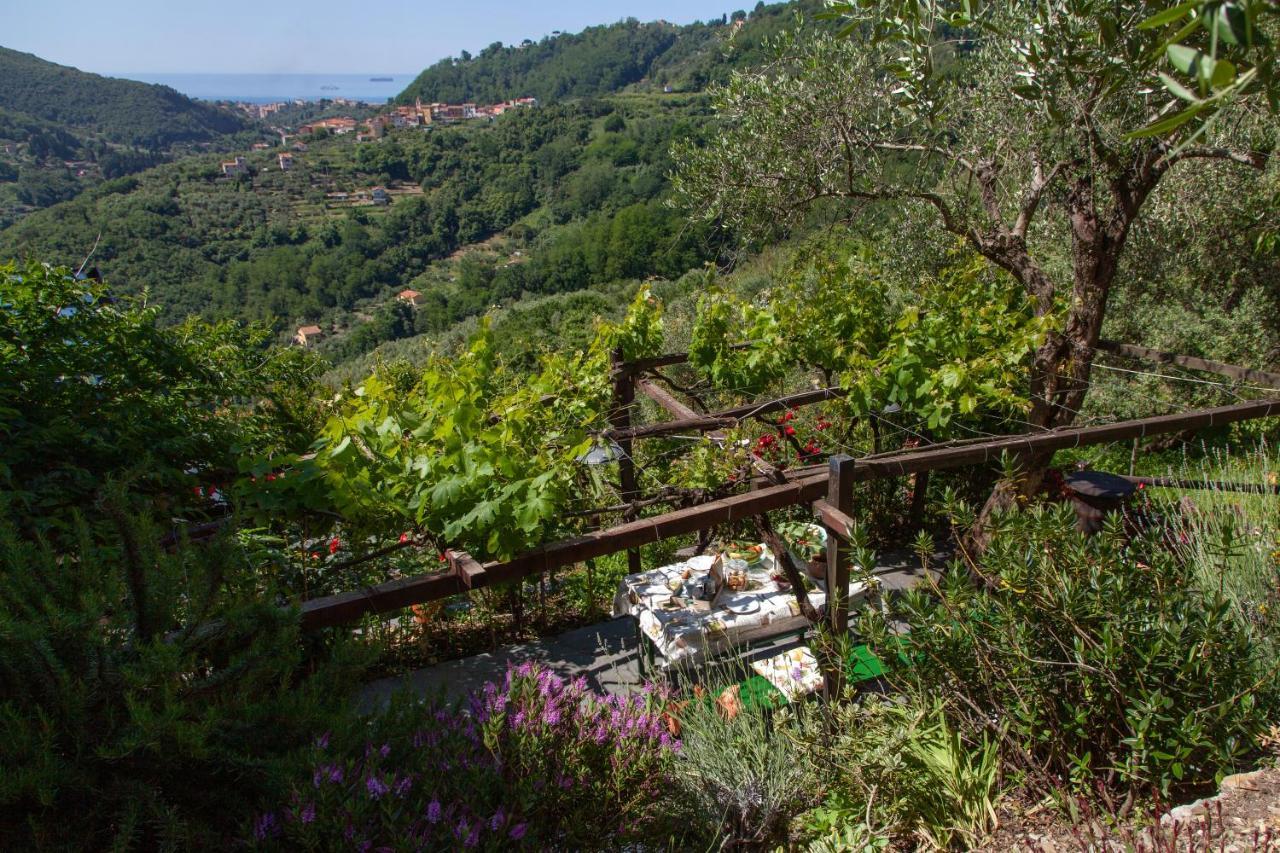 Pietrantica - Affittacamere Con Giardino Nuova Apertura A Trebiano -Citr 外观 照片